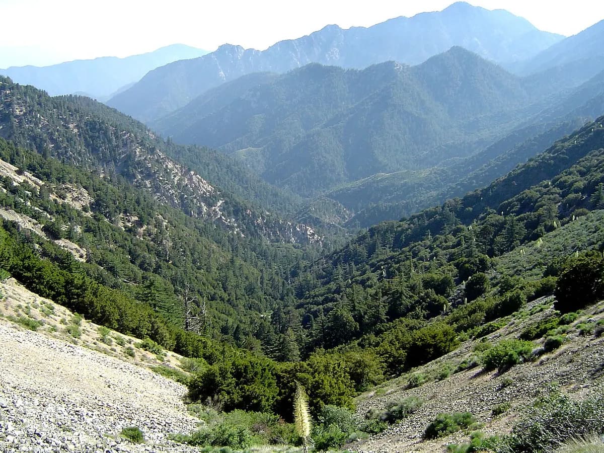 Mountain canyons in the Angeles National Forest