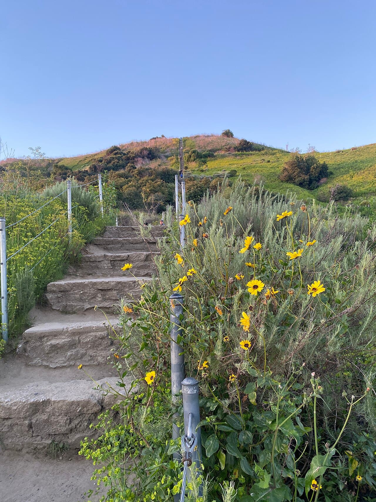 baldwin hills — Baldwin Hills Scenic Overlook 2024 April