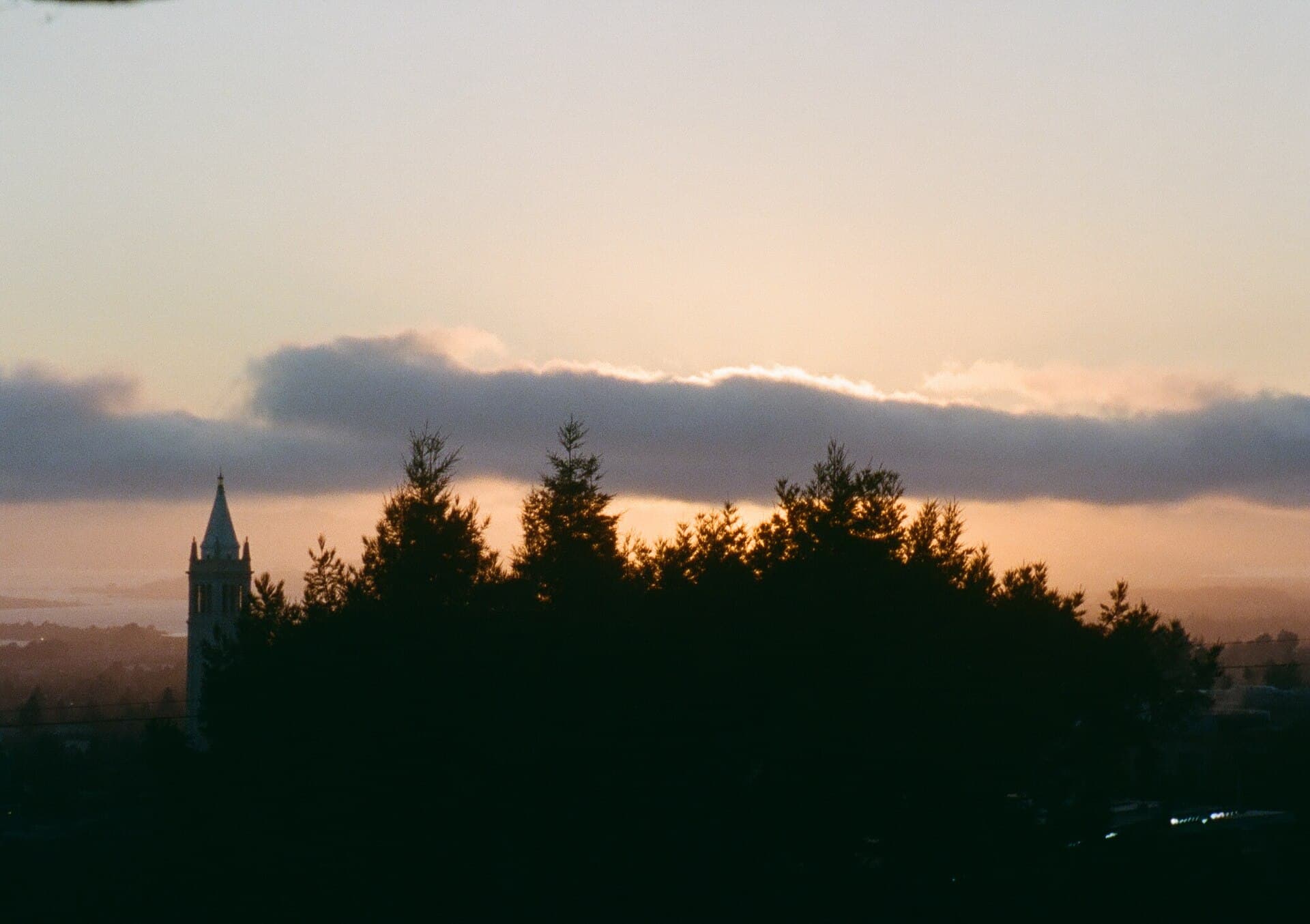 University of California, Berkeley campus · Redwood trees and Sather Tower during the Sunset in Berkeley California.jpg