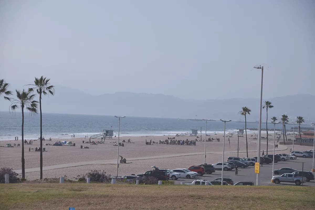 Dockweiler State Beach with palm trees, Playa del Rey