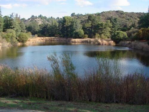 Franklin Canyon Park — Franklin Canyon Pond, California
