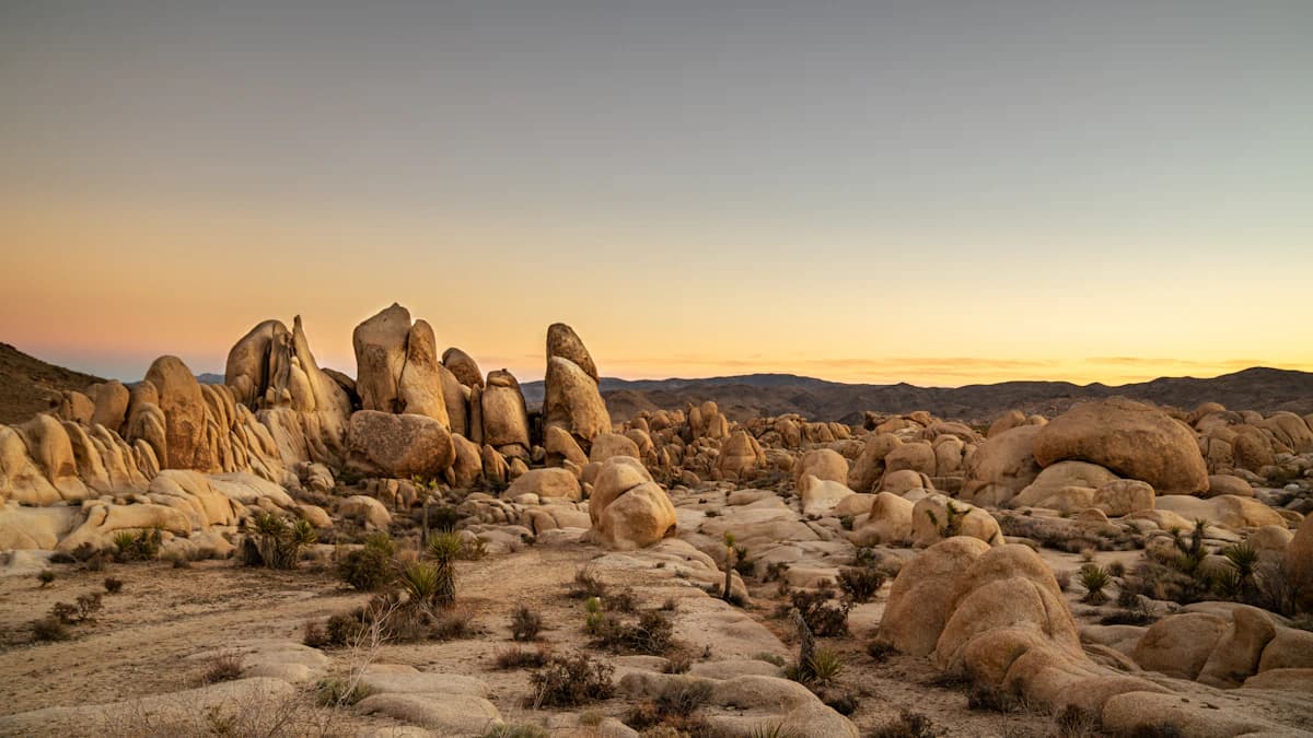Boulders and desert landscape in Joshua Tree National Park