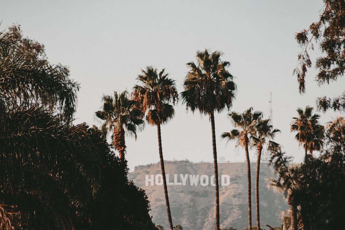Tall palm trees against a warm Los Angeles sky