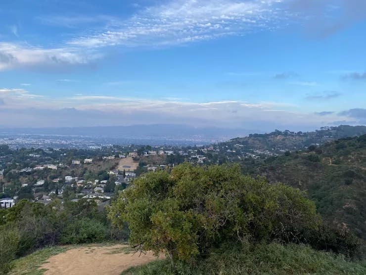 View over Los Angeles from a Mulholland Drive overlook
