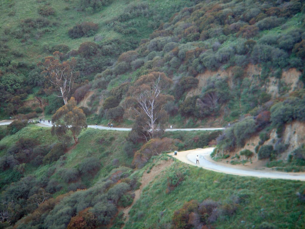 Runyon Canyon Park — Runyon Canyon, Los Angeles, CA. Paved path between Vista Street & Mulholland Trailhead