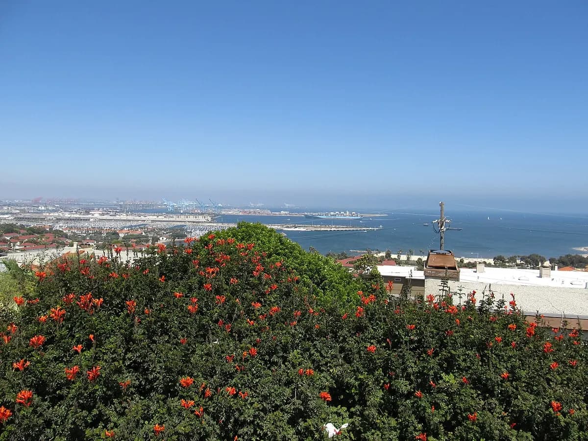 View over the Port of Los Angeles from San Pedro
